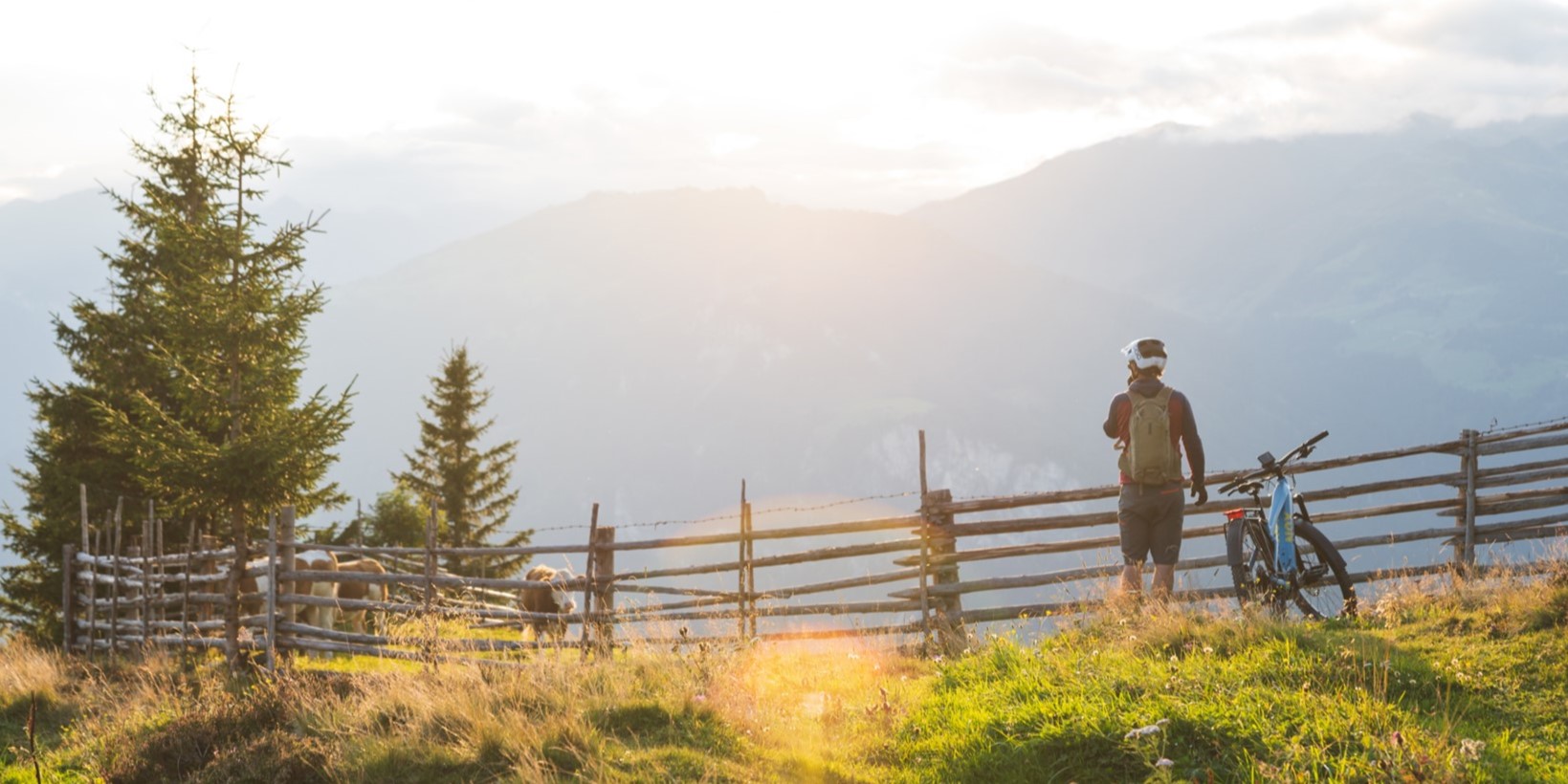 Mann fährt bei Sonnenuntergang auf einem E-Mountainbike von NOX